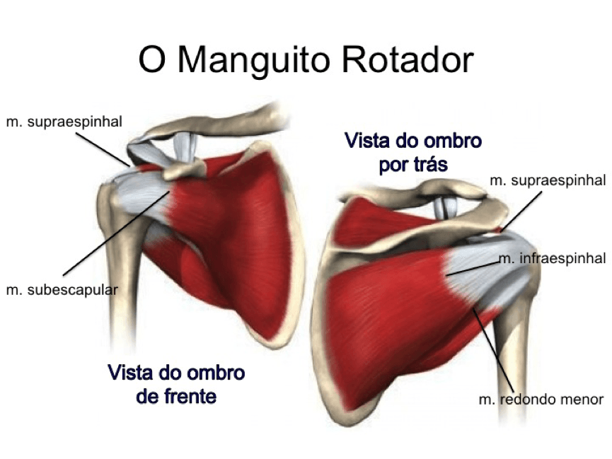 02_Reparação-do-Manguito-Rotador2
