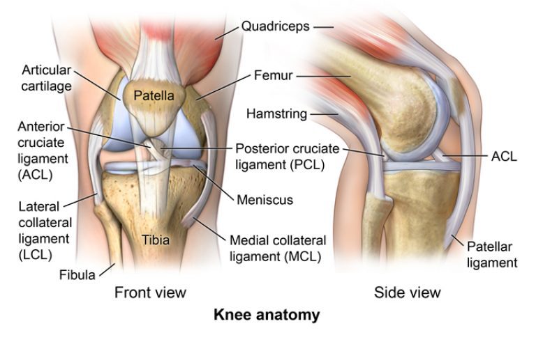 JOELHO_Ruptura-do-Ligamento-Cruzado-Anterior_OPÇÃO2-768x504